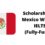 Scholarships In Mexico Without IELTS 2024 – Fully Funded