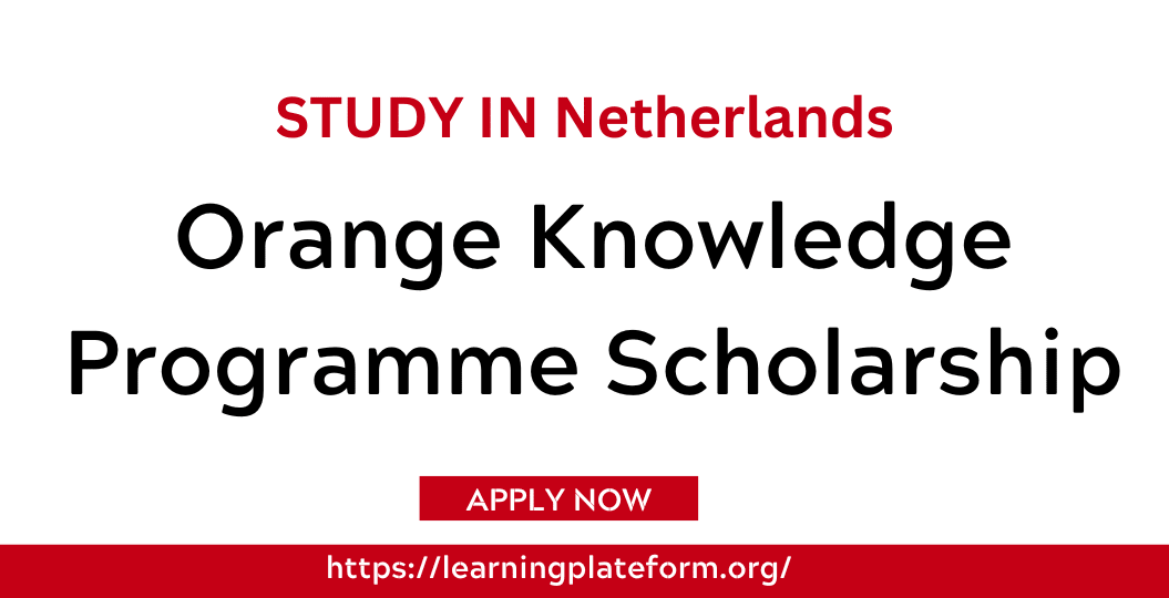 Orange Knowledge Programme Scholarship 2024 In Netherlands