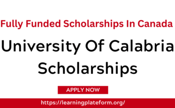 University Of Calabria Scholarships