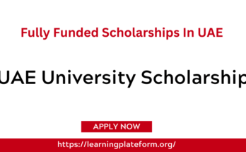 UAE University Scholarship