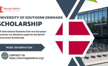 University of Southern Denmark Scholarship