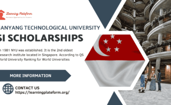 Nanyang International Scholarships