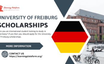 University of Freiburg Scholarships